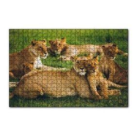 Cakapuzzle Çayırda Dişi Aslanlar ve Yavruları 120 Parça Ahşap Puzzle