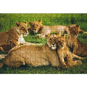 Cakapuzzle Çayırda Dişi Aslanlar ve Yavruları 120 Parça Ahşap Puzzle