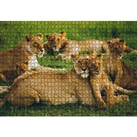 Cakapuzzle Çayırda Dişi Aslanlar ve Yavruları 120 Parça Ahşap Puzzle