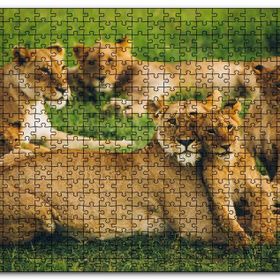 Cakapuzzle Çayırda Dişi Aslanlar ve Yavruları Mdf 120 Parça Puzzle