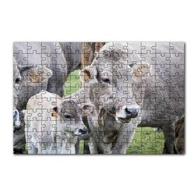 Cakapuzzle Çayırda Gri İnekler ve Sevimli Buzağı 120 Parça Ahşap Puzzle