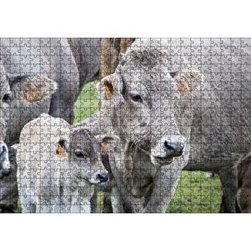 Cakapuzzle Çayırda Gri İnekler ve Sevimli Buzağı 120 Parça Ahşap Puzzle