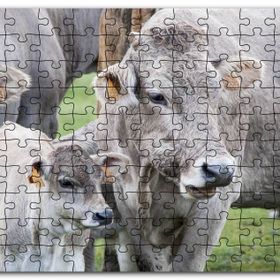 Cakapuzzle Çayırda Gri İnekler ve Sevimli Buzağı Mdf 500 Parça Puzzle