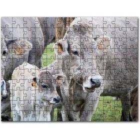 Cakapuzzle Çayırda Gri İnekler ve Sevimli Buzağı Mdf 500 Parça Puzzle