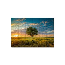 Cakapuzzle Çayırda Günbatımı Bulutlar ve Yalnız Ağaç Mdf 1000 Parça Puzzle