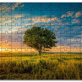 Cakapuzzle Çayırda Günbatımı Bulutlar ve Yalnız Ağaç Mdf 500 Parça Puzzle
