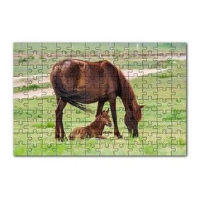 Cakapuzzle Çayırda Kahverengi Anne At ve Sevimli Tayı 120 Parça Ahşap Puzzle