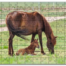 Cakapuzzle Çayırda Kahverengi Anne At ve Sevimli Tayı Mdf 500 Parça Puzzle