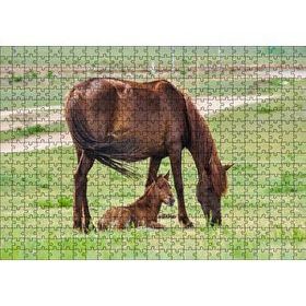 Cakapuzzle Çayırda Kahverengi Anne At ve Sevimli Tayı Mdf 500 Parça Puzzle