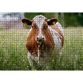 Cakapuzzle Çayırda Kahverengi Beyaz İnek 120 Parça Ahşap Puzzle