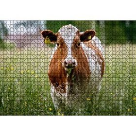 Cakapuzzle Çayırda Kahverengi Beyaz İnek 120 Parça Ahşap Puzzle