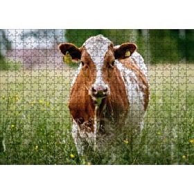 Cakapuzzle Çayırda Kahverengi Beyaz İnek Mdf 500 Parça Puzzle