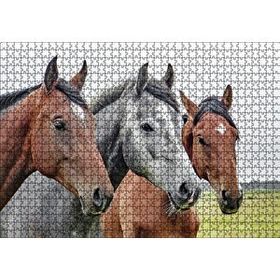 Cakapuzzle Çayırda Kahverengi ve Gri Atlar Yakın Çekim 120 Parça Ahşap Puzzle