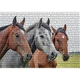Cakapuzzle Çayırda Kahverengi ve Gri Atlar Yakın Çekim 120 Parça Ahşap Puzzle