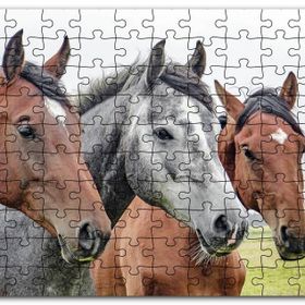 Cakapuzzle Çayırda Kahverengi ve Gri Atlar Yakın Çekim Mdf 255 Parça Puzzle
