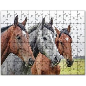 Cakapuzzle Çayırda Kahverengi ve Gri Atlar Yakın Çekim Mdf 255 Parça Puzzle