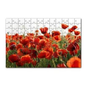 Cakapuzzle Çayırda Kırmızı Gelincikler 120 Parça Ahşap Puzzle