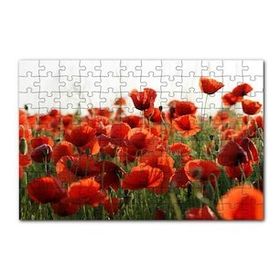 Cakapuzzle Çayırda Kırmızı Gelincikler 120 Parça Ahşap Puzzle