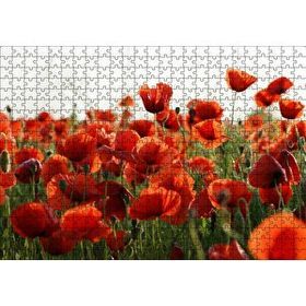 Cakapuzzle Çayırda Kırmızı Gelincikler 120 Parça Ahşap Puzzle