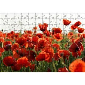 Cakapuzzle Çayırda Kırmızı Gelincikler 120 Parça Ahşap Puzzle