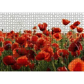 Cakapuzzle Çayırda Kırmızı Gelincikler 120 Parça Ahşap Puzzle