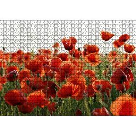 Cakapuzzle Çayırda Kırmızı Gelincikler 120 Parça Ahşap Puzzle