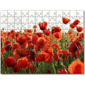 Cakapuzzle Çayırda Kırmızı Gelincikler 255 Parça Puzzle