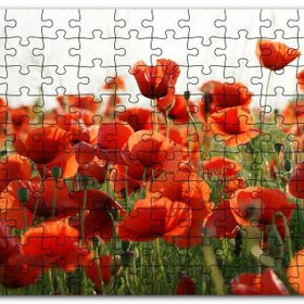 Cakapuzzle Çayırda Kırmızı Gelincikler Mdf 120 Parça Puzzle