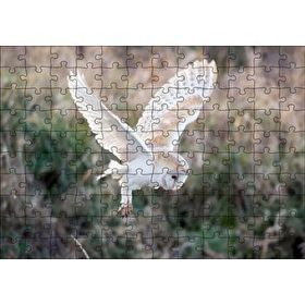 Cakapuzzle Çayırda Konmaya Hazırlanan Beyaz Baykuş 120 Parça Ahşap Puzzle