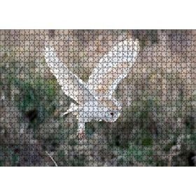 Cakapuzzle Çayırda Konmaya Hazırlanan Beyaz Baykuş 120 Parça Ahşap Puzzle