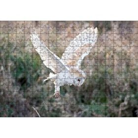 Cakapuzzle Çayırda Konmaya Hazırlanan Beyaz Baykuş 120 Parça Ahşap Puzzle