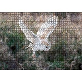 Cakapuzzle Çayırda Konmaya Hazırlanan Beyaz Baykuş 120 Parça Ahşap Puzzle