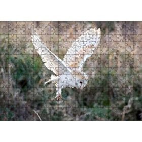 Cakapuzzle Çayırda Konmaya Hazırlanan Beyaz Baykuş 120 Parça Ahşap Puzzle