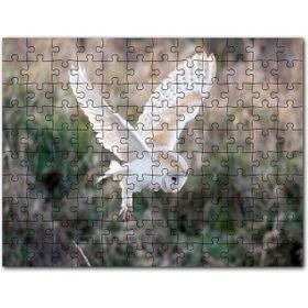 Cakapuzzle Çayırda Konmaya Hazırlanan Beyaz Baykuş Mdf 120 Parça Puzzle