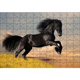 Cakapuzzle Çayırda Koşan Vahşi Siyah At 120 Parça Ahşap Puzzle