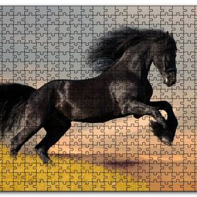 Cakapuzzle Çayırda Koşan Vahşi Siyah At Mdf 500 Parça Puzzle