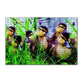 Cakapuzzle Çayırda Ördek Yavruları 120 Parça Ahşap Puzzle