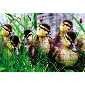 Cakapuzzle Çayırda Ördek Yavruları 120 Parça Ahşap Puzzle