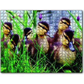 Cakapuzzle Çayırda Ördek Yavruları Mdf 1000 Parça Puzzle