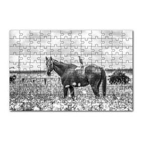 Cakapuzzle Çayırda Otlayan Aygır ve Sırtındaki Kuş 120 Parça Ahşap Puzzle