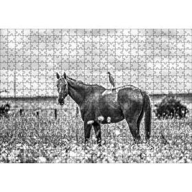 Cakapuzzle Çayırda Otlayan Aygır ve Sırtındaki Kuş 120 Parça Ahşap Puzzle