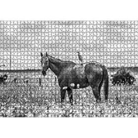 Cakapuzzle Çayırda Otlayan Aygır ve Sırtındaki Kuş 120 Parça Ahşap Puzzle
