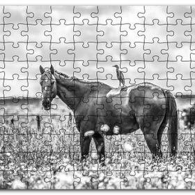 Cakapuzzle Çayırda Otlayan Aygır ve Sırtındaki Kuş Mdf 255 Parça Puzzle