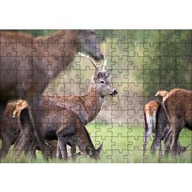 Cakapuzzle Çayırda Otlayan Geyikler 120 Parça Ahşap Puzzle
