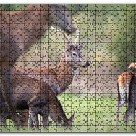 Cakapuzzle Çayırda Otlayan Geyikler Mdf 120 Parça Puzzle