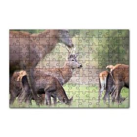 Cakapuzzle Çayırda Otlayan Ren Geyikleri 120 Parça Ahşap Puzzle