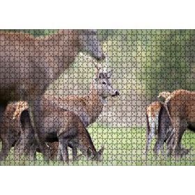Cakapuzzle Çayırda Otlayan Ren Geyikleri 120 Parça Ahşap Puzzle