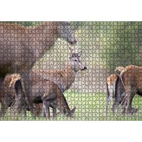 Cakapuzzle Çayırda Otlayan Ren Geyikleri 120 Parça Ahşap Puzzle