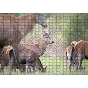Cakapuzzle Çayırda Otlayan Ren Geyikleri 120 Parça Ahşap Puzzle