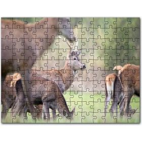 Cakapuzzle Çayırda Otlayan Ren Geyikleri Mdf 500 Parça Puzzle